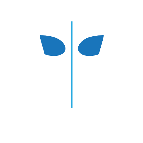 CoolSculpting Bra Fat Treatment areas